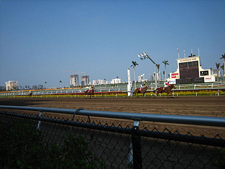 Horse Racing Starting Gate. and the starting gate gets